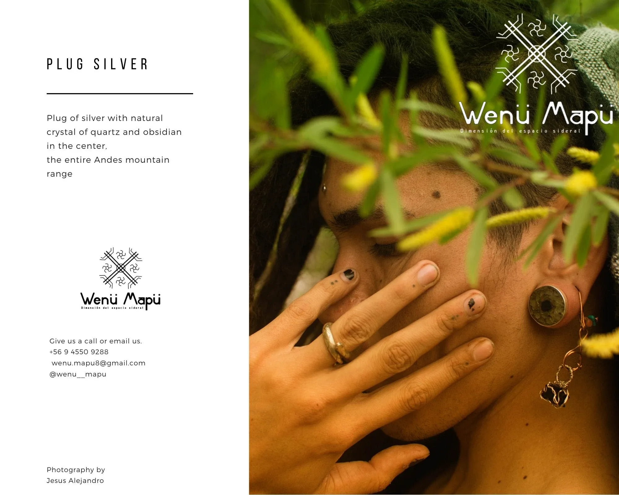 Wenu Mapu 2019 catalogue plate 4