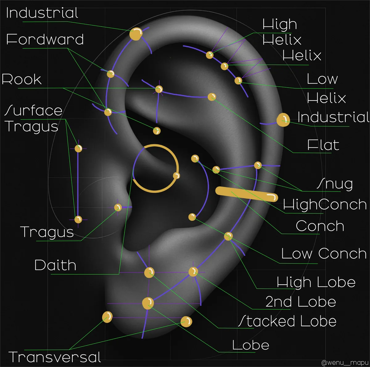 Ocin's curated ear map — a shaded ear with gold placements labelled: high helix, forward helix, rook, daith, conch, tragus, snug, industrial, lobe and more.