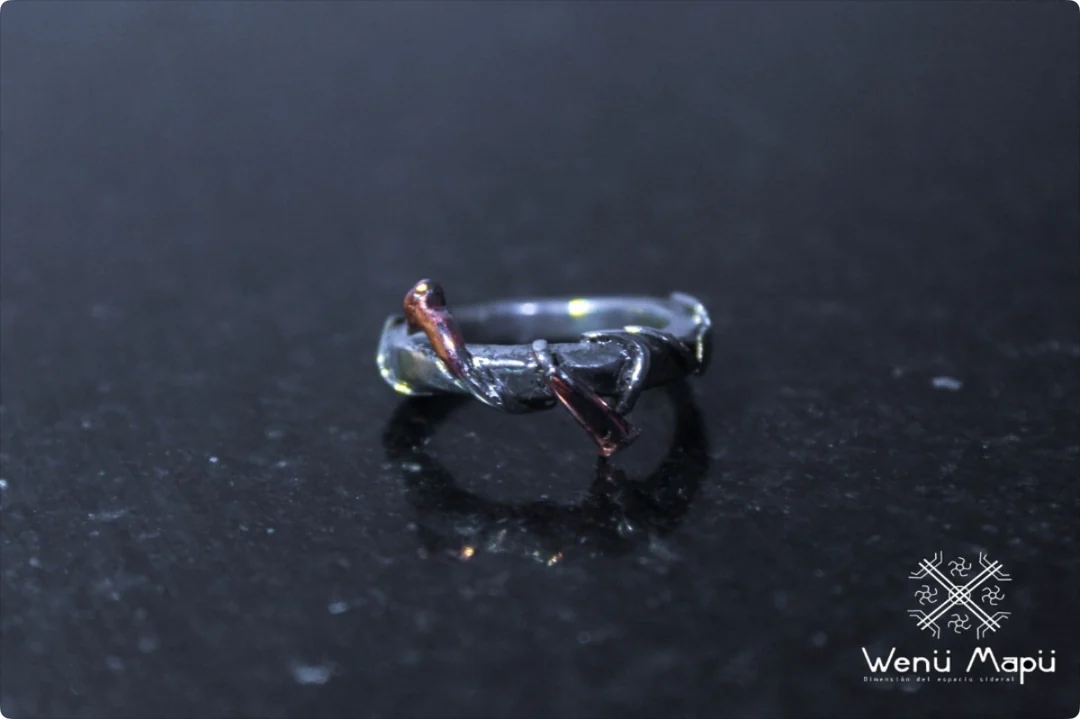 Wenu Mapu hand-forged piece — portfolio archive